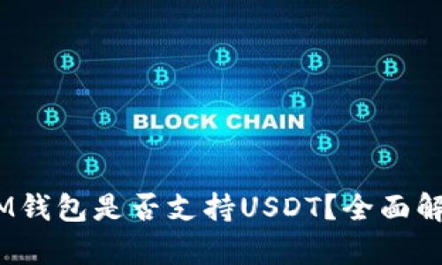 TokenTokenIM钱包是否支持USDT？全面解析与使用指南