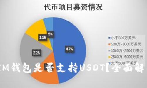 TokenTokenIM钱包是否支持USDT？全面解析与使用指南