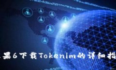 苹果6下载Tokenim的详细指南
