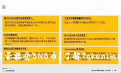 Tokenim能否接受BNB币？了解