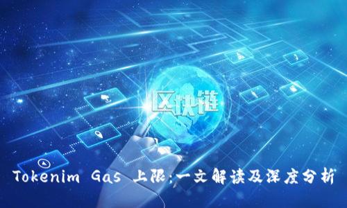Tokenim Gas 上限：一文解读及深度分析