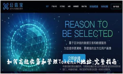 如何高效收集和管理TokenIM地址：完整指南