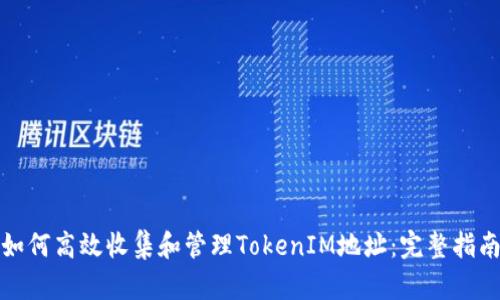 如何高效收集和管理TokenIM地址：完整指南