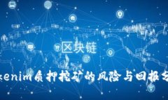 Tokenim质押挖矿的风险与回