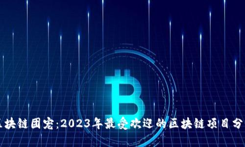 区块链团宠：2023年最受欢迎的区块链项目分析