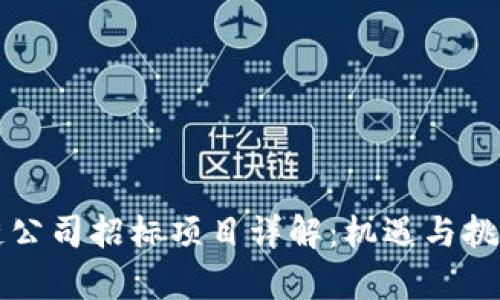 区块链公司招标项目详解：机遇与挑战并存