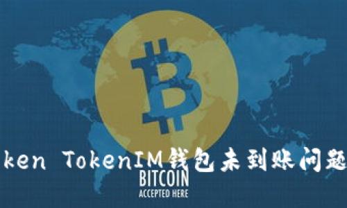 如何解决Token TokenIM钱包未到账问题的详细指南