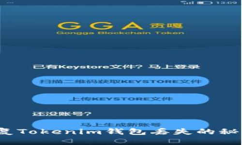 如何恢复Tokenim钱包丢失的秘钥密码？