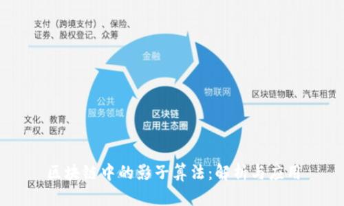 区块链中的影子算法：解析与应用