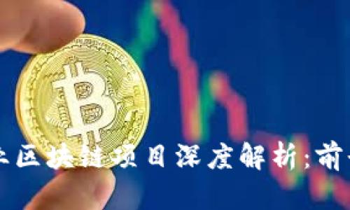 武汉工业区块链项目深度解析：前景与应用