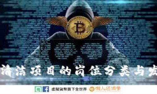 区块链清洁项目的岗位分类与发展前景