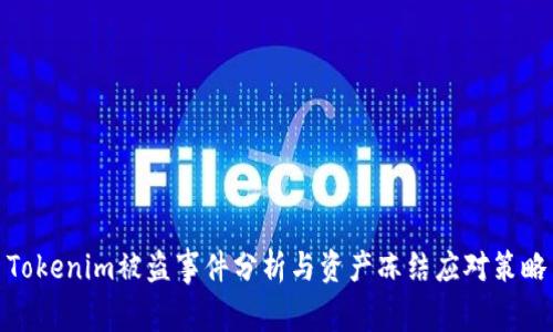 Tokenim被盗事件分析与资产冻结应对策略