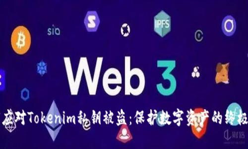 如何应对Tokenim私钥被盗：保护数字资产的终极指南