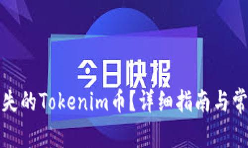 如何找回丢失的Tokenim币？详细指南与常见问题解答