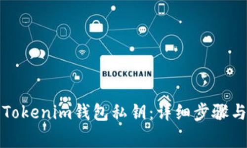 如何导入Tokenim钱包私钥：详细步骤与注意事项