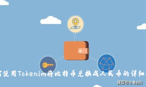 如何使用Tokenim将比特币兑换成人民币的详细指南