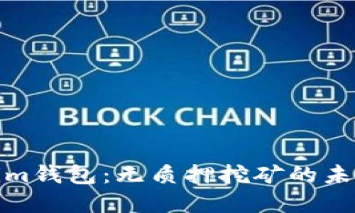 Tokenim钱包：无质押挖矿的未来选择