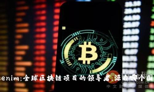 Tokenim：全球区块链项目的领导者，源自哪个国家？