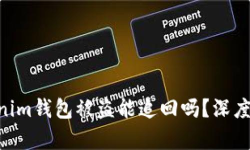 Tokentokenim钱包被盗能追回吗？深度分析及对策