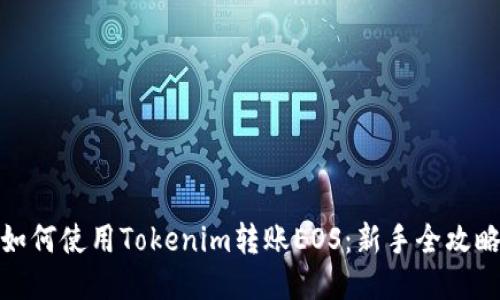 如何使用Tokenim转账EOS：新手全攻略