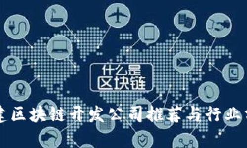 福建区块链开发公司推荐与行业分析