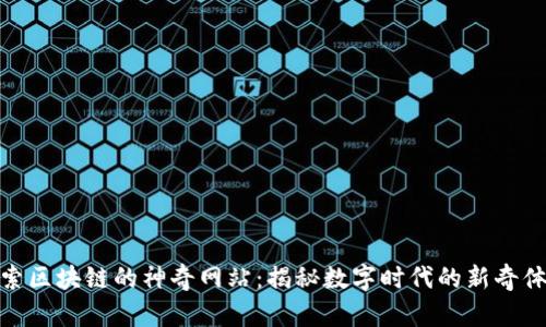 探索区块链的神奇网站：揭秘数字时代的新奇体验