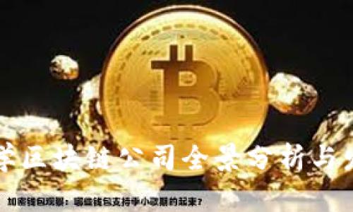 厦门大学区块链公司全景分析与发展动态