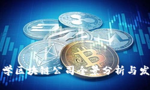 厦门大学区块链公司全景分析与发展动态