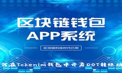 如何在Tokenim钱包中开启DOT转账功能