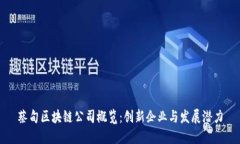 蔡甸区块链公司概览：创