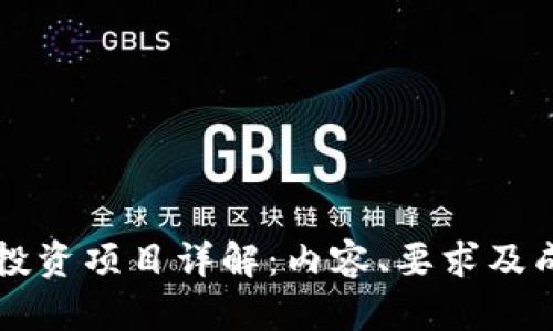 区块链投资项目详解：内容、要求及成功因素