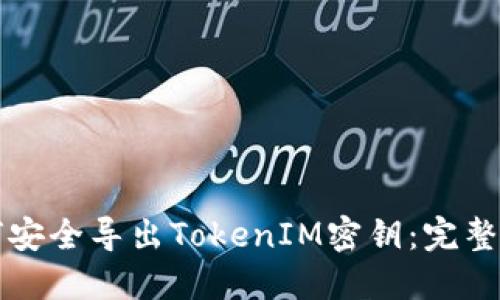 如何安全导出TokenIM密钥：完整指南