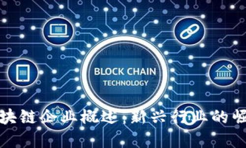 河南省区块链企业概述:新兴行业的崛起与发展