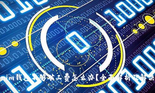 Tokenim钱包不够矿工费怎么办？全面解析及解决方案