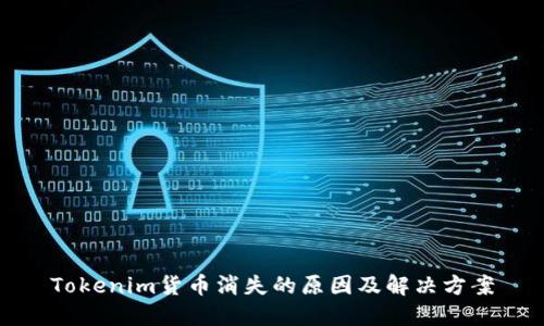 Tokenim货币消失的原因及解决方案