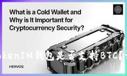 最新版本的TokenTokenIM钱包是否支持BTC？详细解析与使用指南