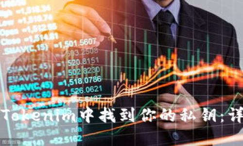 如何在Tokenim中找到你的私钥：详细指南