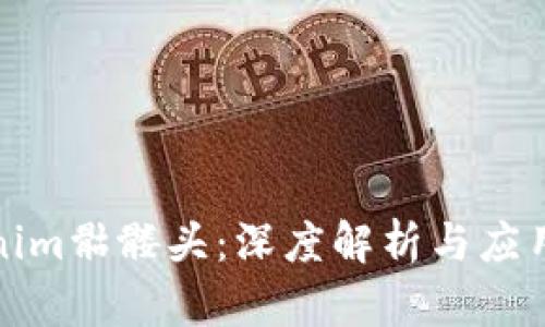 Tokenim骷髅头：深度解析与应用前景