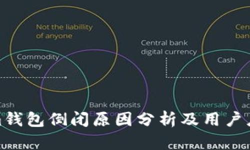 Tokenim钱包倒闭原因分析及用户应对策略