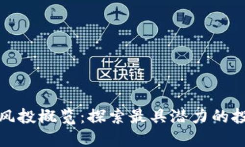 区块链风投概览：探索最具潜力的投资机会