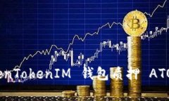 深入解析 TokenTokenIM 钱包质