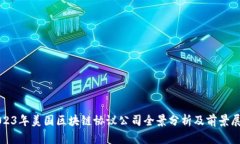 2023年美国区块链协议公司