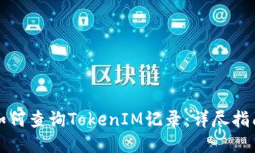 如何查询TokenIM记录：详尽指南