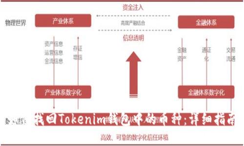 如何找回Tokenim钱包中的币种：详细指南