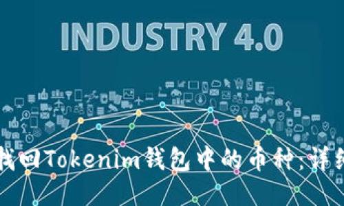 如何找回Tokenim钱包中的币种：详细指南