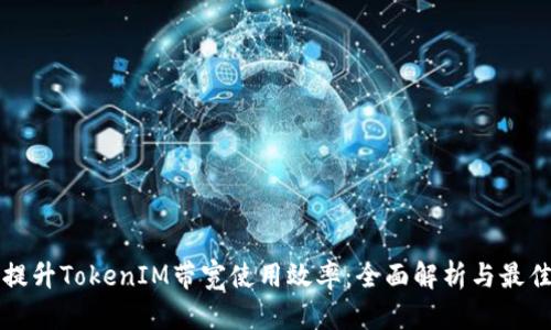 如何提升TokenIM带宽使用效率：全面解析与最佳实践