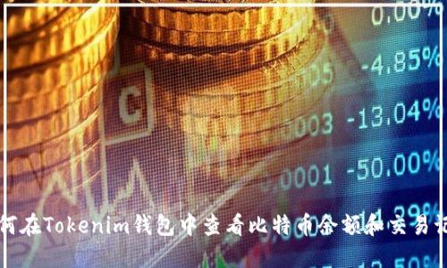 如何在Tokenim钱包中查看比特币余额和交易记录