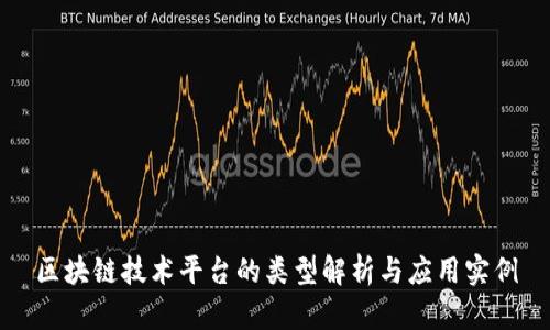 区块链技术平台的类型解析与应用实例