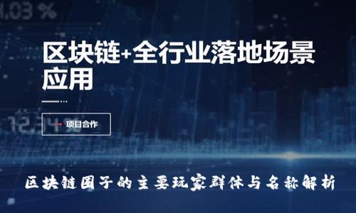 区块链圈子的主要玩家群体与名称解析