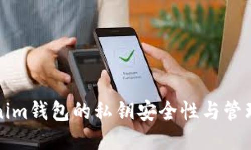 Tokenim钱包的私钥安全性与管理指南